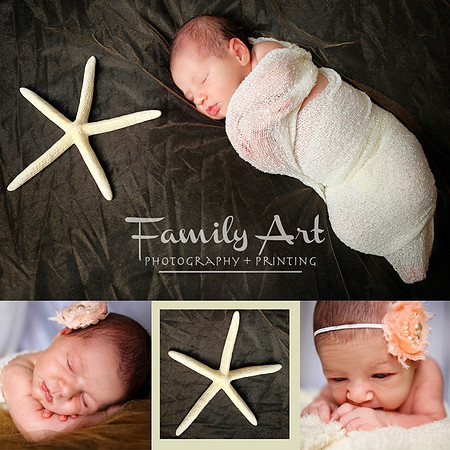 Newborn Session